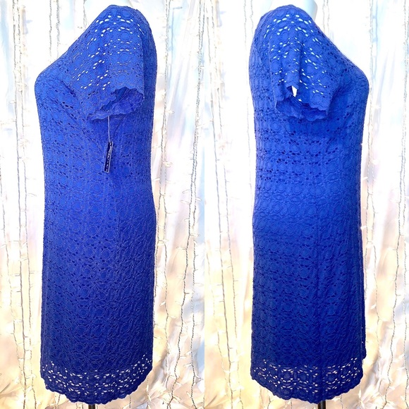 🆕 RONNI NICOLE ⭐️ Feminine Lace Spring Dress - Picture 6 of 10